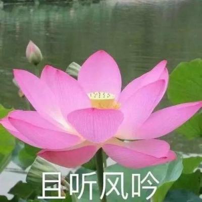 北京海淀通报2起违规开展线下学科培训行为
